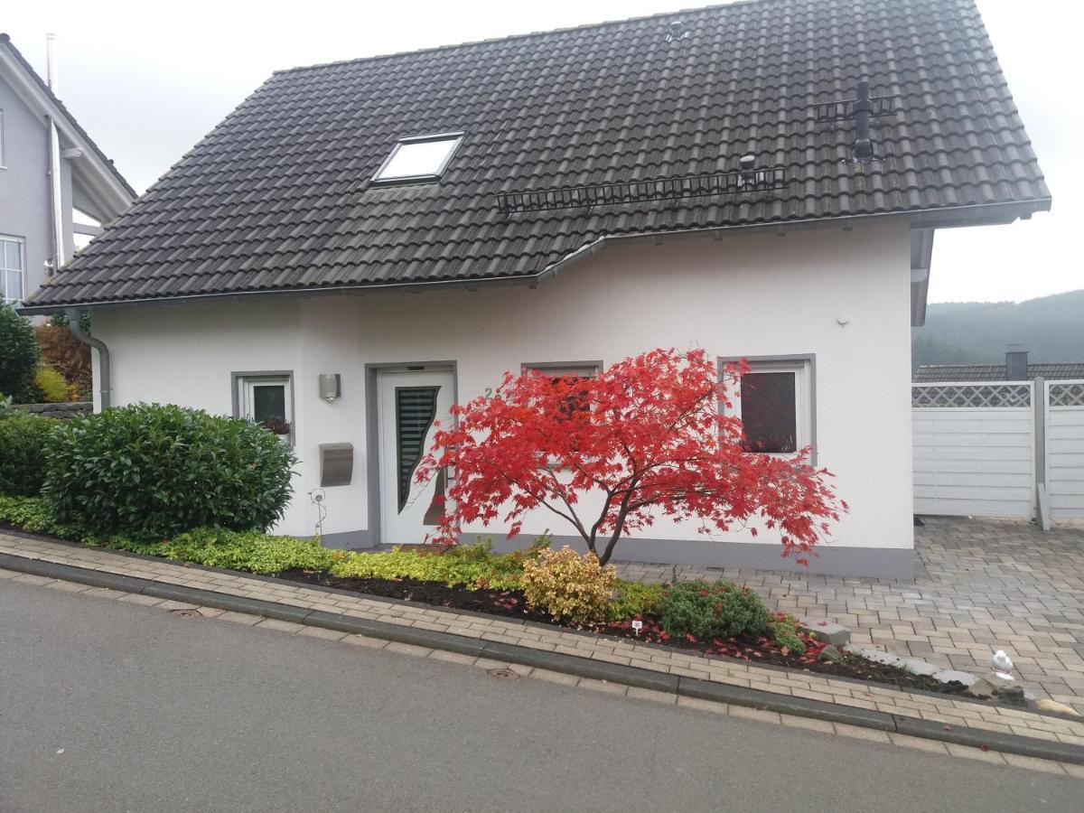 Schmidts 2Raumtraum Apartment Hilchenbach Екстериор снимка